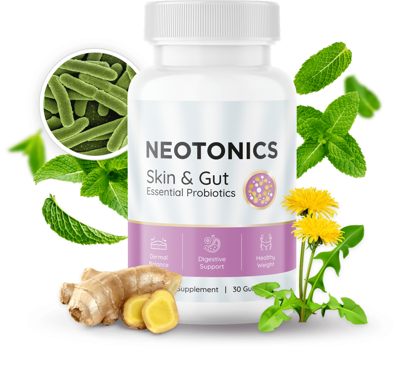 Neotonics: A Supplement for Skin and Gut Health |Review |2024