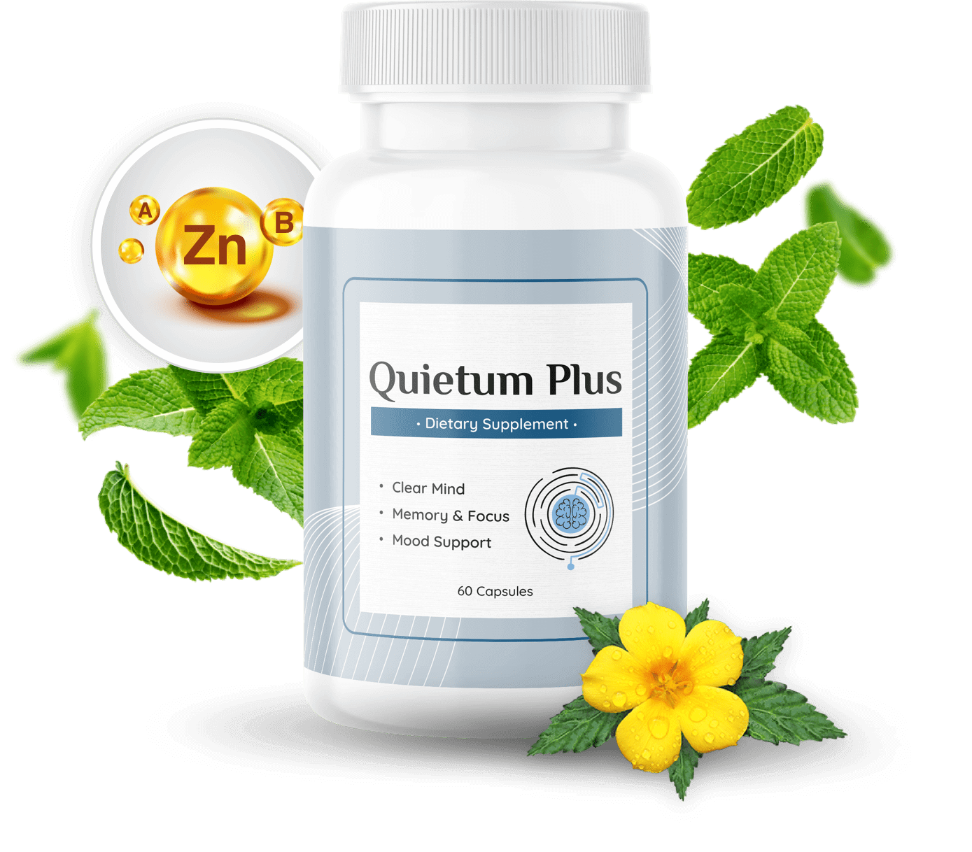 Quietum Plus Supplements – Health |Review |2024