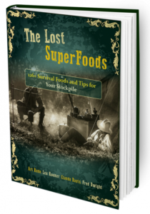 Lost Super Foods Book