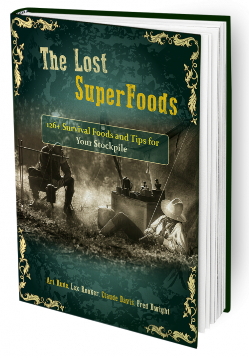 The Lost Super Foods Book |Review |2024|